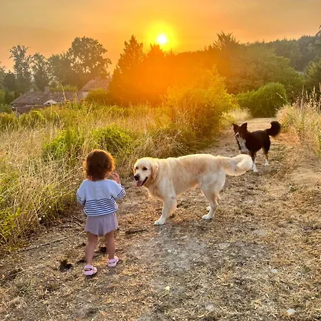 Gasthof Le Patio Bleu Saint-Romain (Charente)