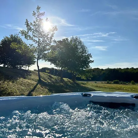 Le Patio Bleu Gasthof